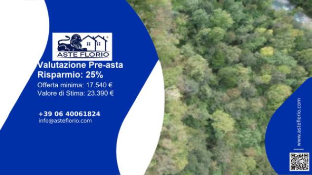 terreno agricolo in vendita a Belluno in zona Bolzano Bellunese