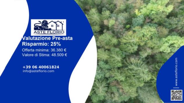 terreno agricolo in vendita a Belluno in zona Bolzano Bellunese