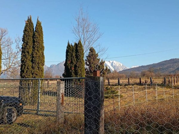 terreno agricolo in vendita a Belluno in zona Castion