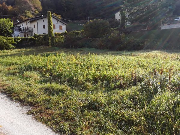 terreno edificabile in vendita a Belluno in zona Levego