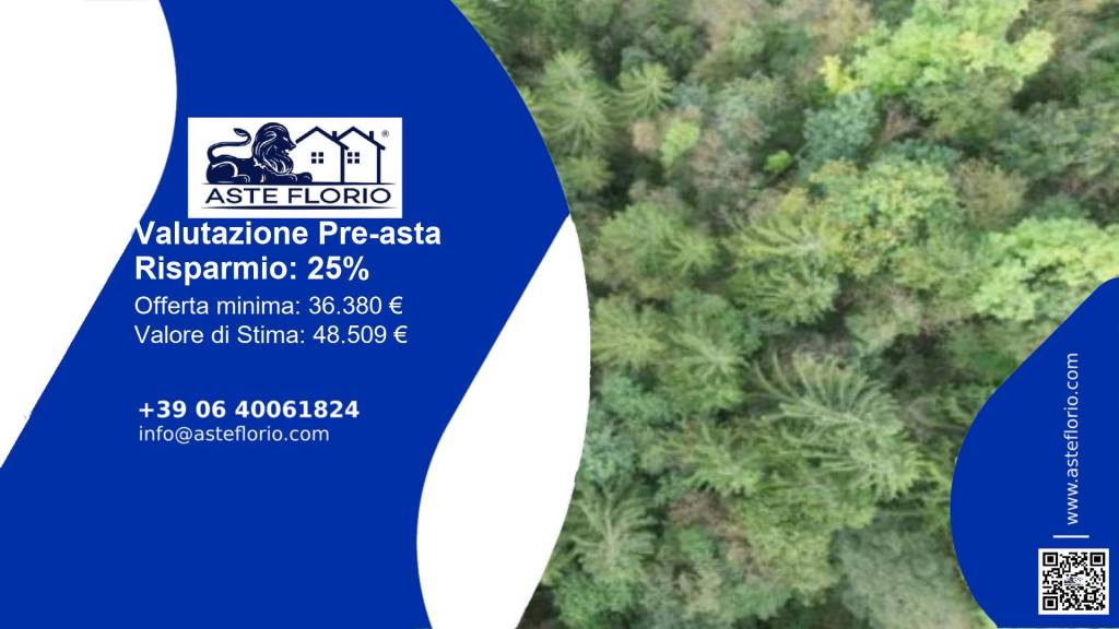 terreno agricolo in vendita a Belluno in zona Bolzano Bellunese