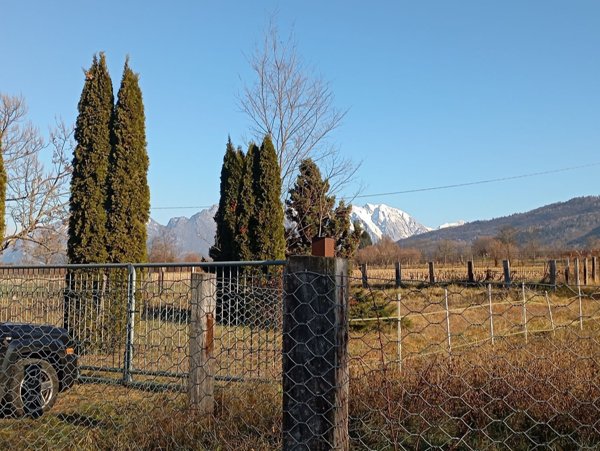 terreno agricolo in vendita a Belluno in zona Castion