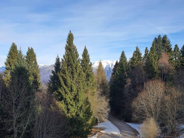 appartamento in vendita a Belluno in zona Nevegal