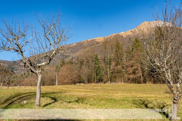 terreno edificabile in vendita a Belluno in zona Cusighe