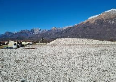 terreno agricolo in vendita a Belluno in zona Levego