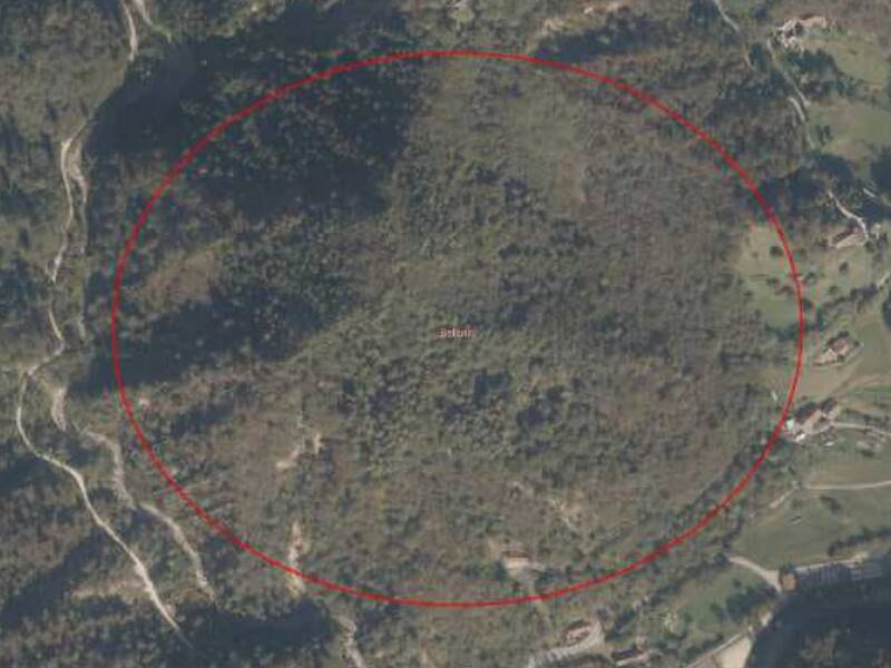 terreno agricolo in vendita a Belluno in zona Bolzano Bellunese