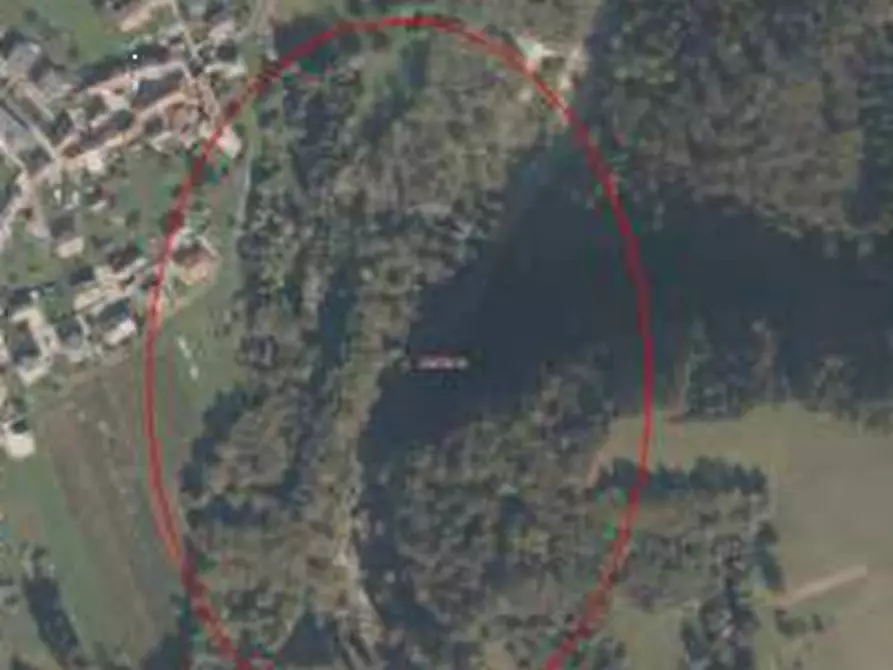 terreno agricolo in vendita a Belluno in zona Bolzano Bellunese