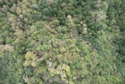 appartamento in vendita a Belluno in zona Bolzano Bellunese