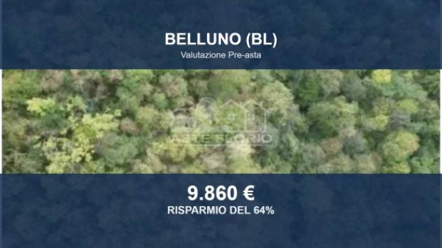 negozio in vendita a Belluno in zona Centro Storico