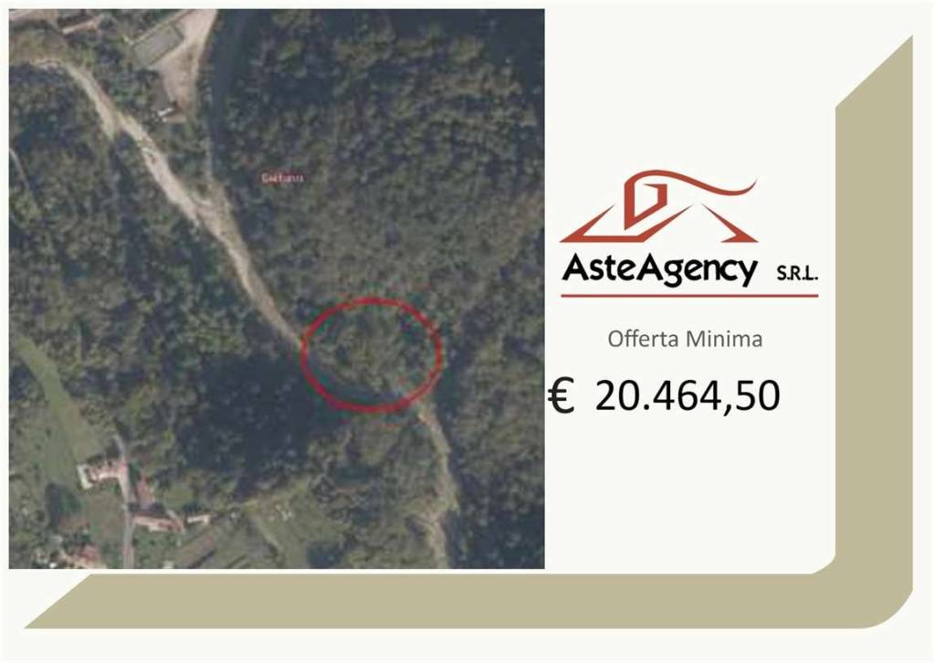 terreno agricolo in vendita a Belluno in zona Bolzano Bellunese
