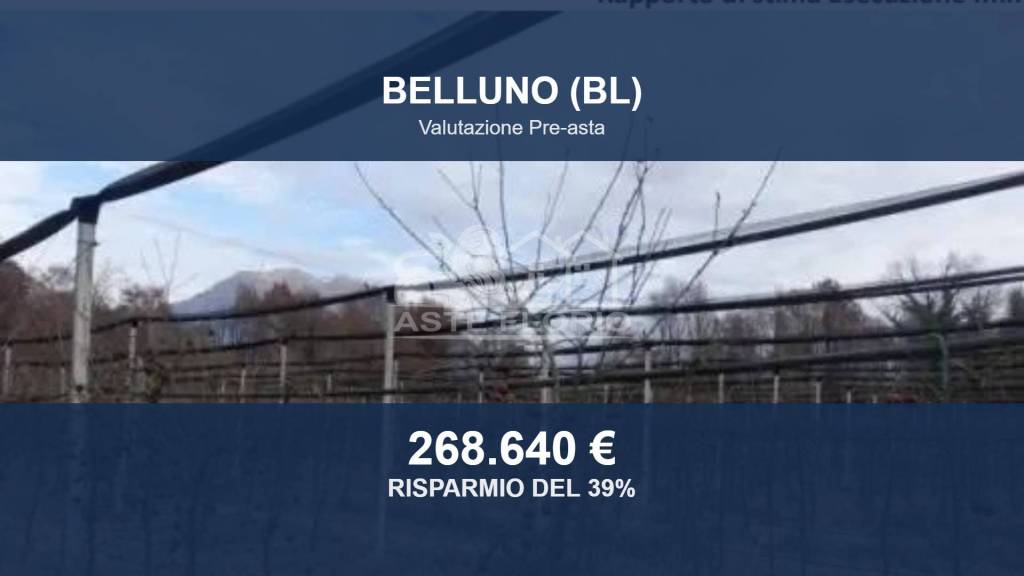 appartamento in vendita a Belluno in zona Miér
