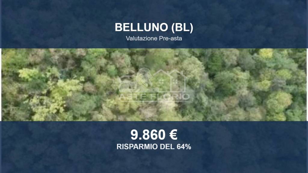 negozio in vendita a Belluno in zona Bolzano Bellunese