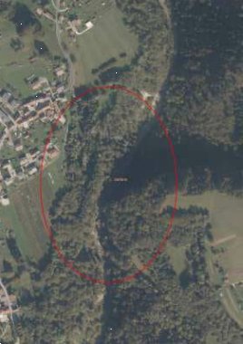 terreno agricolo in vendita a Belluno in zona Bolzano Bellunese