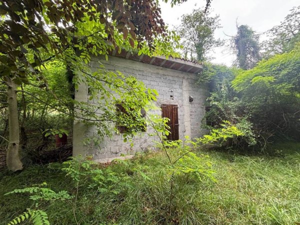 terreno agricolo in vendita a Belluno in zona Fiammoi