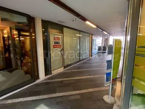appartamento in vendita a Belluno in zona Borgo Garibaldi