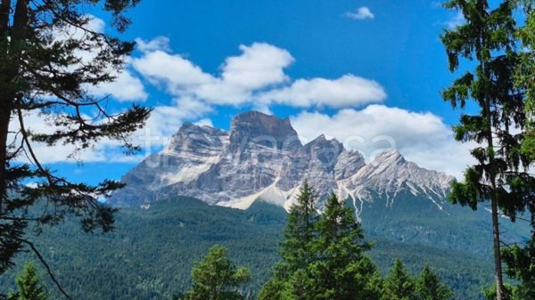 casa indipendente in vendita a Borca di Cadore in zona Corte