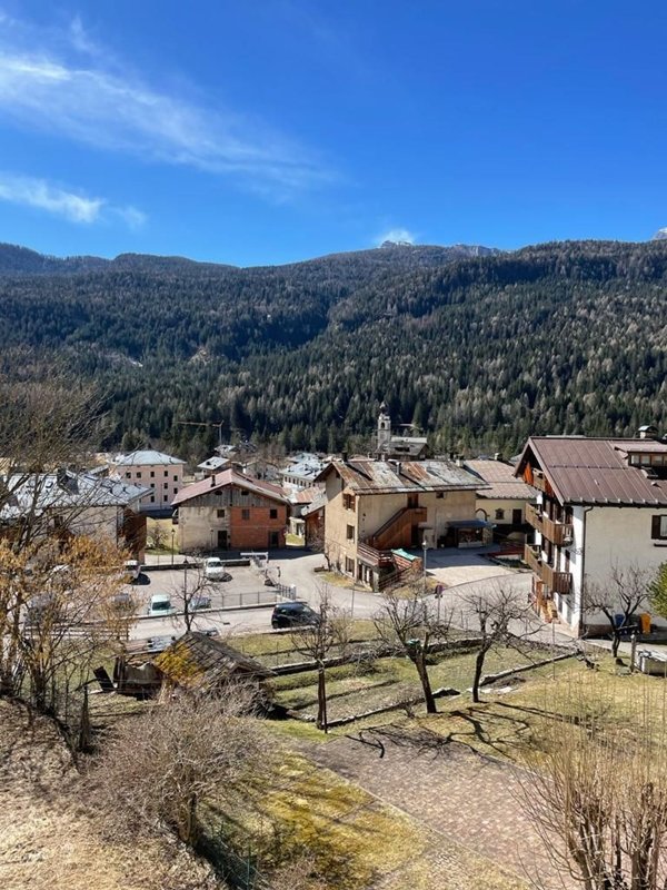 appartamento in vendita a Borca di Cadore