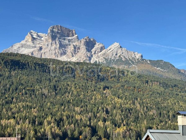 appartamento in vendita a Borca di Cadore in zona Cancia