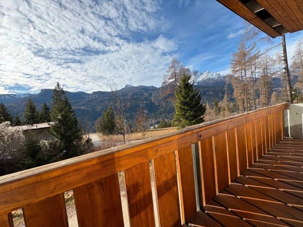 casa indipendente in vendita a Borca di Cadore in zona Corte