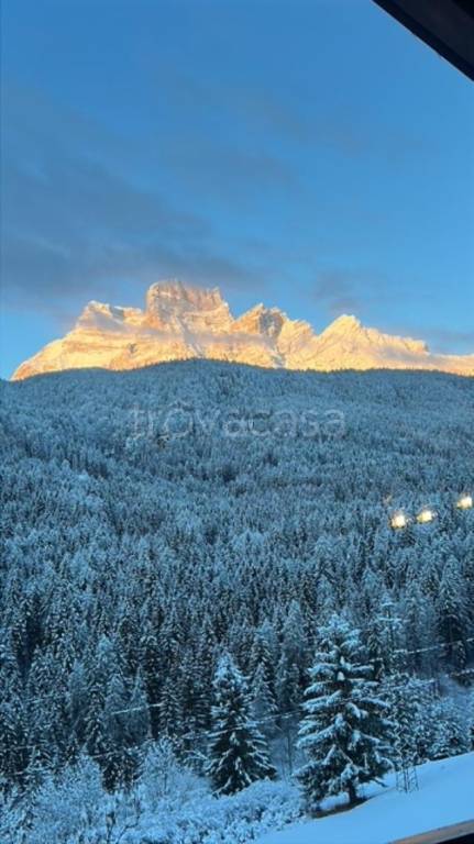 appartamento in vendita a Borca di Cadore in zona Cancia