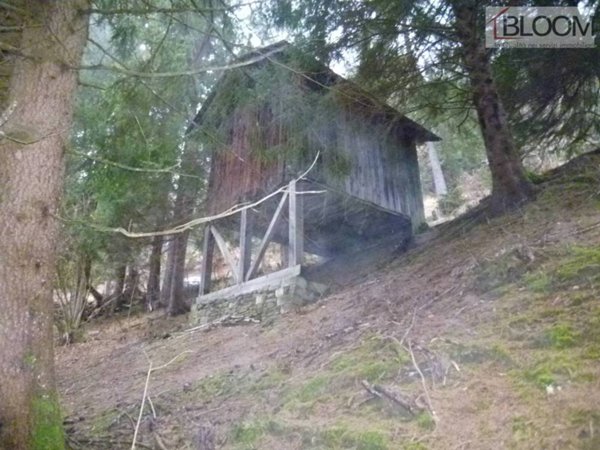 casale in vendita a Borca di Cadore