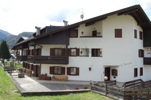 appartamento in vendita a Borca di Cadore in zona Cancia