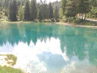 intera palazzina in vendita a Calalzo di Cadore