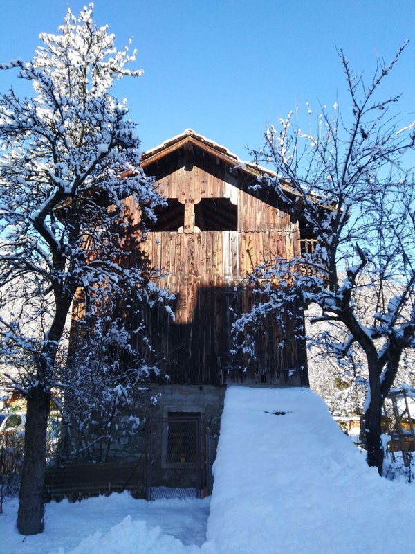 pentavano in vendita a Calalzo di Cadore