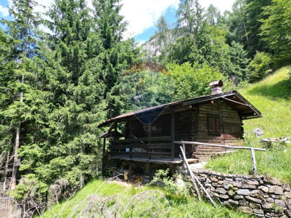 negozio in vendita a Calalzo di Cadore in zona Rizzios