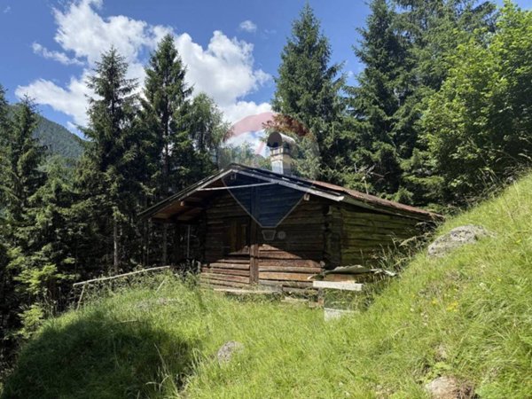 baita in vendita a Calalzo di Cadore in zona Rizzios