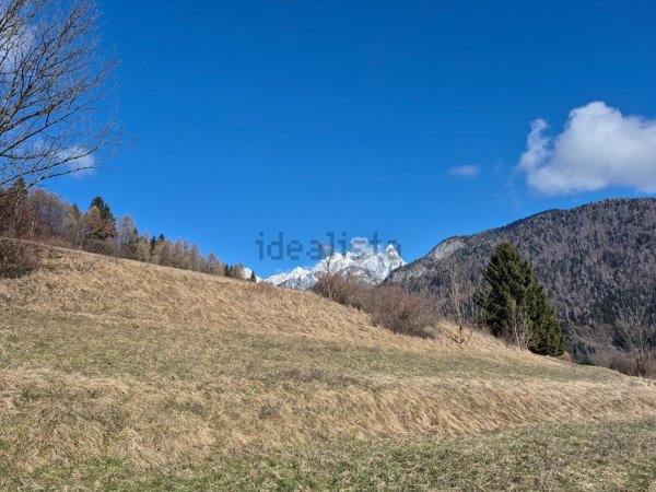 casa indipendente in vendita a Calalzo di Cadore