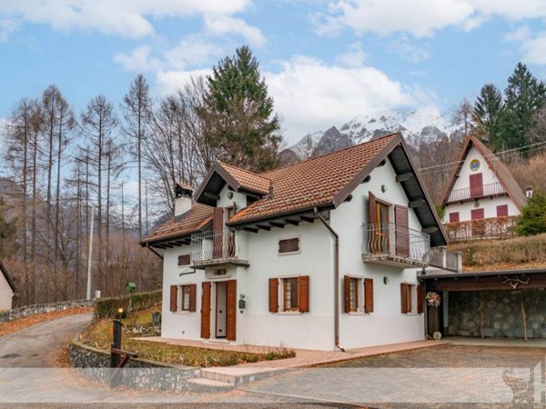 casa indipendente in vendita a Chies d'Alpago in zona Irrighe