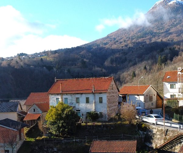 esavano in vendita a Chies d'Alpago in zona Lamosano