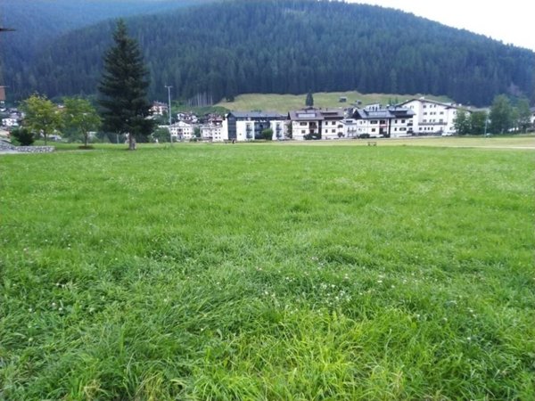 terreno edificabile in vendita a Comelico Superiore in zona Padola