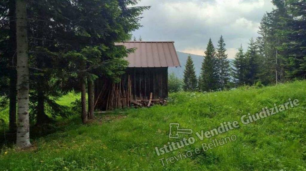 terreno agricolo in vendita a Comelico Superiore in zona Padola