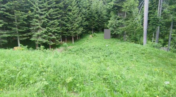 terreno agricolo in vendita a Comelico Superiore in zona Padola