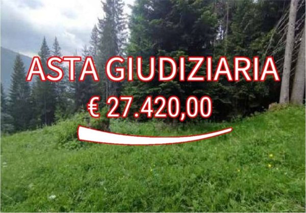 terreno agricolo in vendita a Comelico Superiore in zona Padola