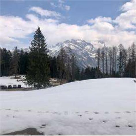 appartamento in vendita a Cortina d'Ampezzo