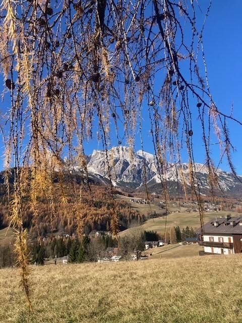 appartamento in vendita a Cortina d'Ampezzo in zona Zuél