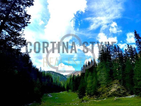 appartamento in vendita a Cortina d'Ampezzo