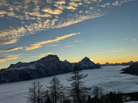 immagine annuncio 0 di 1