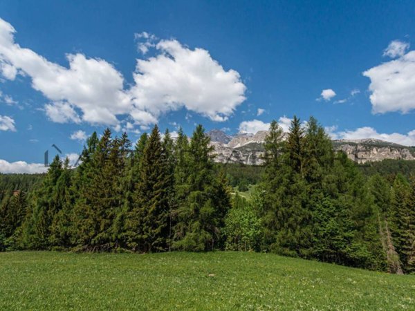 appartamento in vendita a Cortina d'Ampezzo