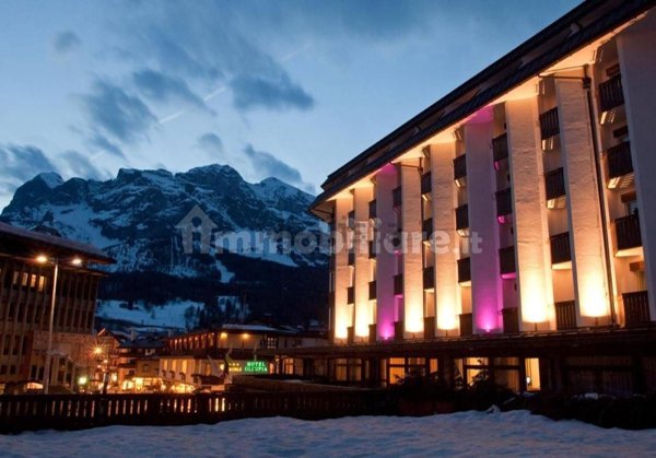 appartamento in vendita a Cortina d'Ampezzo in zona Cianderìes