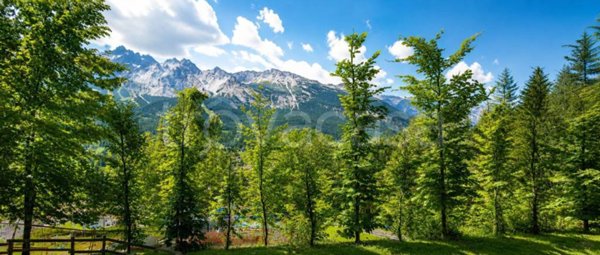 appartamento in vendita a Cortina d'Ampezzo in zona Pecol