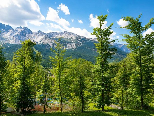 appartamento in vendita a Cortina d'Ampezzo in zona Pecol