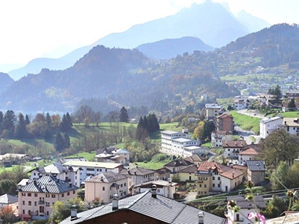 terreno agricolo in vendita a Domegge di Cadore