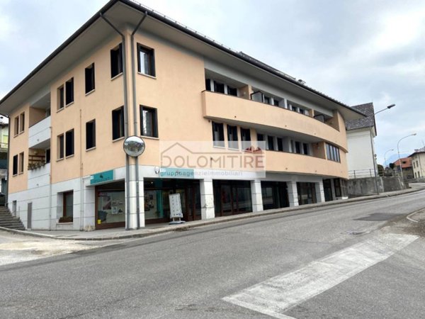 negozio in vendita a Domegge di Cadore