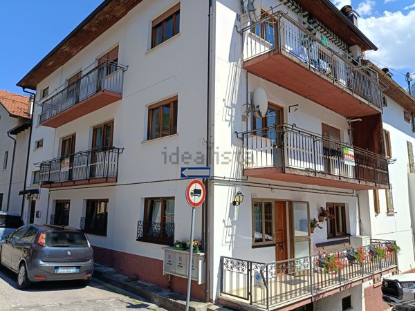 immagine annuncio 0 di 1