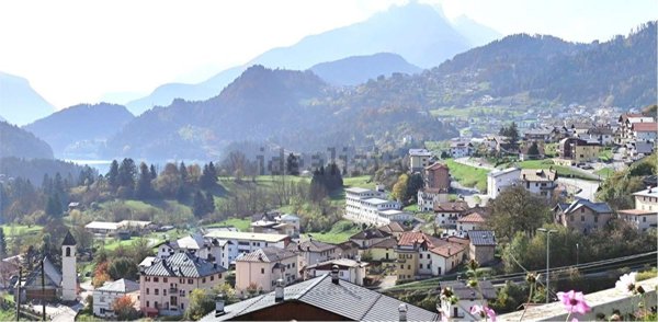 bifamiliare in vendita a Domegge di Cadore in zona Grea