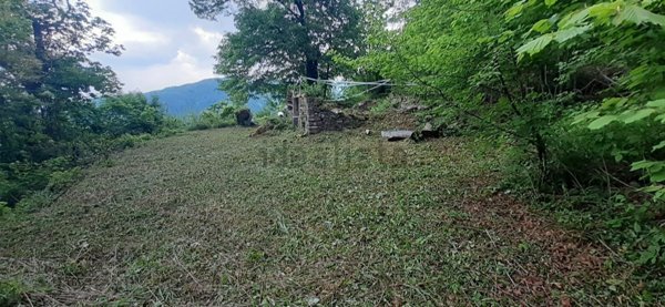 rudere in vendita a Feltre